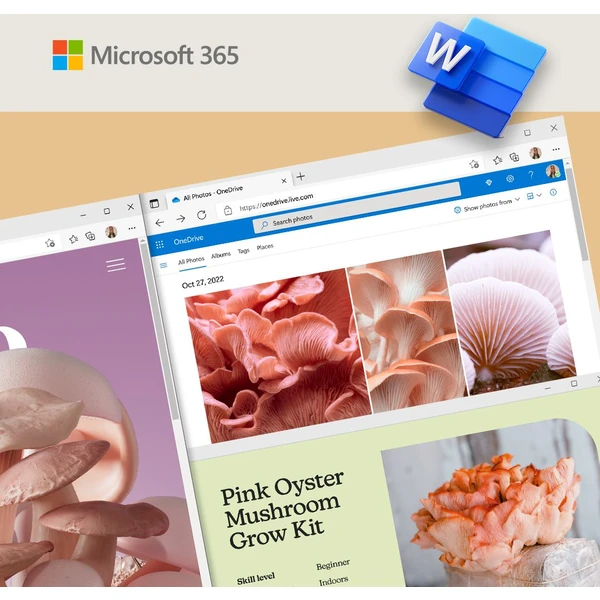Microsoft Office 365 Business Standard - Licence na předplatné (1 rok) - Software elektronické licence - Obrázek GMXYF00101