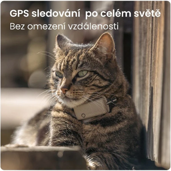 Tractive GPS CAT Mini tracker polohy a aktivity pro kočky hnědý - GPS moduly - Obrázek H1L5000J01