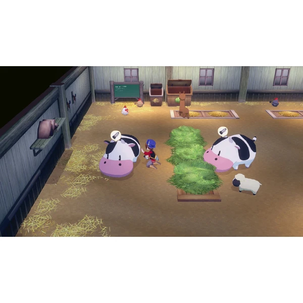 Story of Seasons: Grand Bazaar Limited Edition (Switch 2) - Hry pro Nintendo Switch 2 - Obrázek H4YE000O01