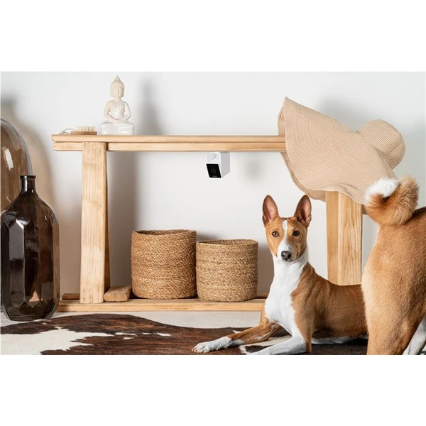 PetCube Cam bezpečnostní kamera - Kamery - Obrázek H5T5000J01