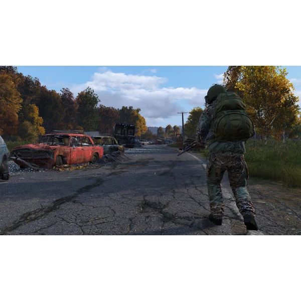 DayZ (PS4) - Hry pro PS4 - Obrázek H9J3100201
