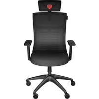 Genesis ASTAT 200 G2 ergonomická židle černá - Židle