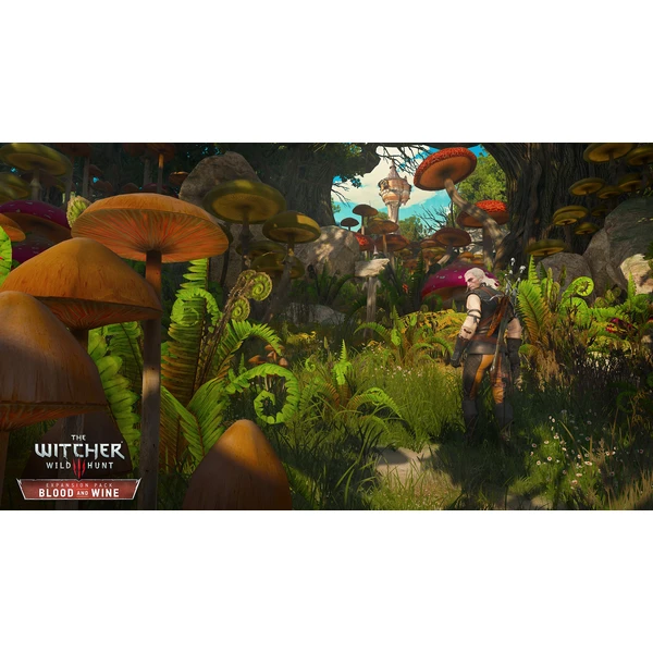 Zaklínač 3: Divoký Hon - Edice Hra roku (PS4) - Hry pro PS4 - Obrázek I074100201