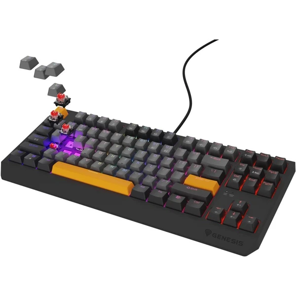 Genesis THOR 230 TKL Anchor Gray Negative RGB mechanická klávesnice - Klávesnice - Obrázek I0I5000O01