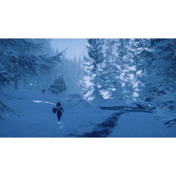 Skábma Snowfall (PS4) - Hry pro PS4 - Obrázek IBF2G00101