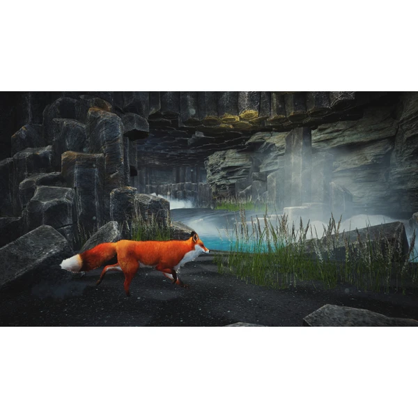 Spirit of the North: Enhanced Edition (PS5) - Hry pro PS5 - Obrázek IXK3100201