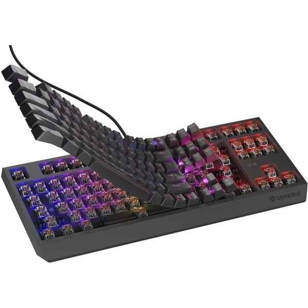 Genesis THOR 230 TKL RGB mechanická klávesnice černá Outemu Brown - Klávesnice - Obrázek J2I5000O01