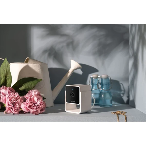 PetCube Cam bezpečnostní kamera - Kamery - Obrázek J5T5000J01