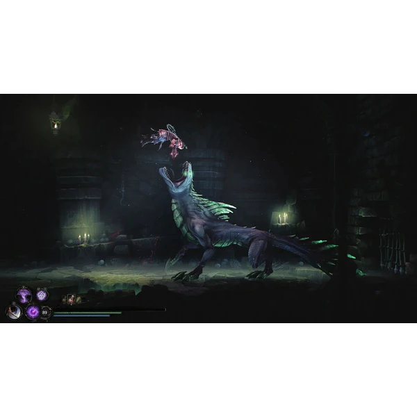 Mandragora: Whispers of the Witch Tree Collector´s Edition (Switch) - Hry pro Nintendo Switch - Obrázek J6CF000O01