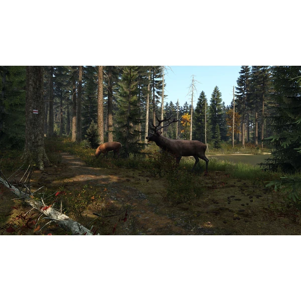 DayZ (PS4) - Hry pro PS4 - Obrázek J9J3100201