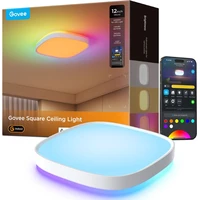 Govee RGBICWW Smart čtverhranné stropní světlo 2400lm 30cm Matter - Chytrá osvětlení