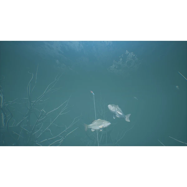 Bassmaster Fishing 2022 (PS5) - Hry pro PS5 - Obrázek JART600301