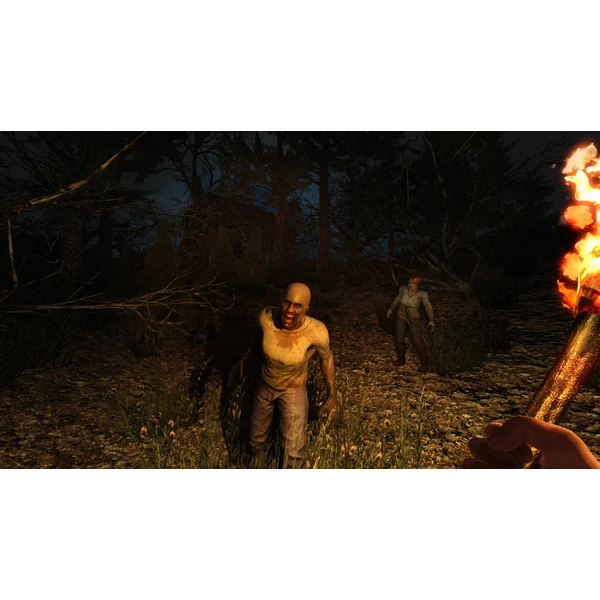 7 Days to Die (PS4) - Hry pro PS4 - Obrázek JHP3100201