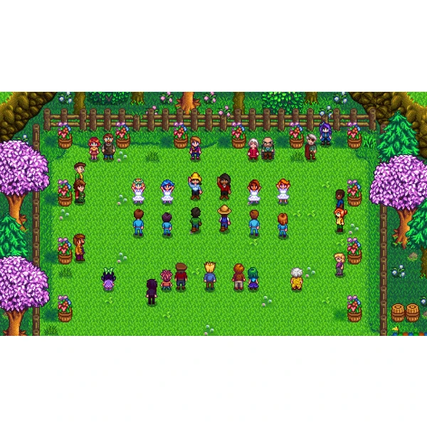 Stardew Valley (SWITCH) - Hry pro Nintendo Switch - Obrázek JMK3100201