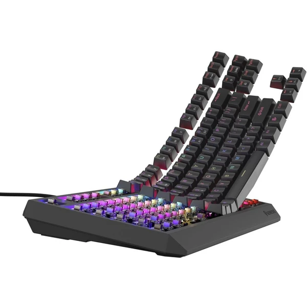 Genesis THOR 230 TKL RGB mechanická klávesnice černá Outemu Brown - Klávesnice - Obrázek K2I5000O01