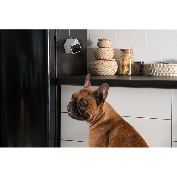 PetCube Cam bezpečnostní kamera - Kamery - Obrázek K5T5000J01