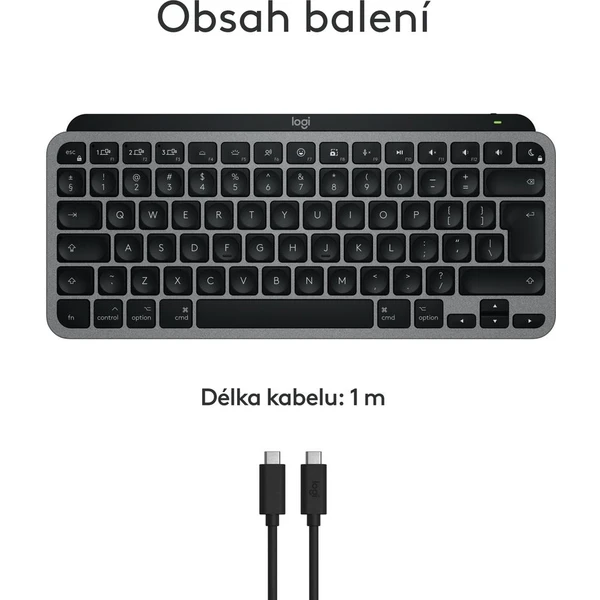 Logitech MX Keys Mini for Mac US klávesnice vesmírně šedá - Klávesnice - Obrázek K645000J01