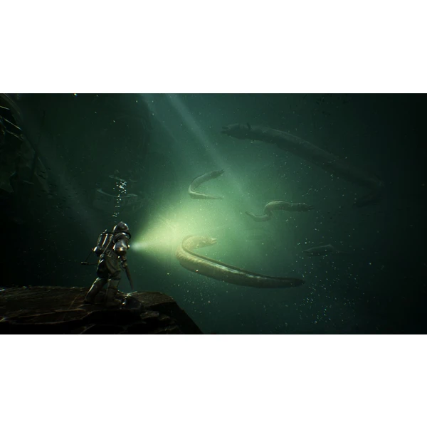 The Sinking City (PS4) - Hry pro PS4 - Obrázek K894100201