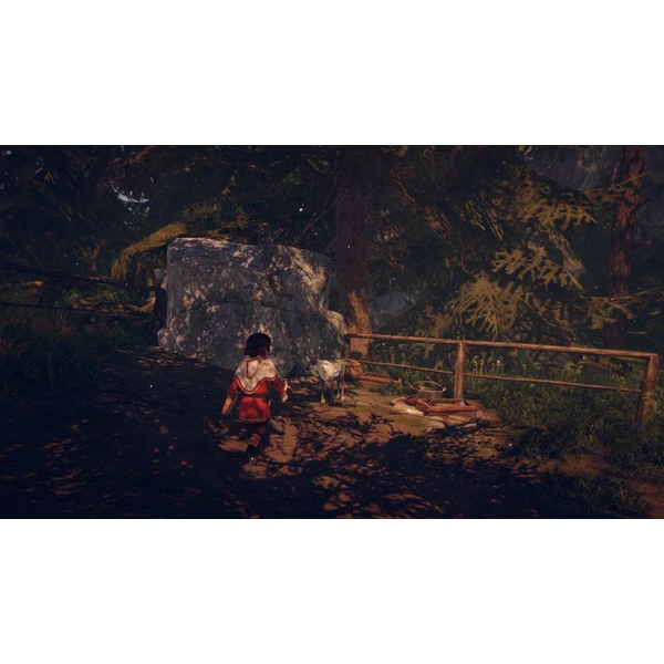 Skábma Snowfall (PS4) - Hry pro PS4 - Obrázek KBF2G00101