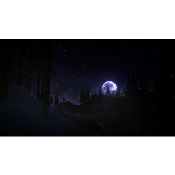 The Long Dark (PS4) - Hry pro PS4 - Obrázek KO95100201