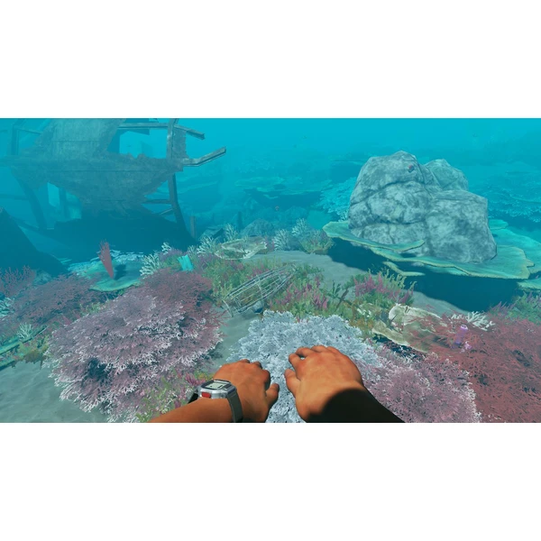 Stranded Deep (Switch) - Hry pro Nintendo Switch - Obrázek KQGW600301