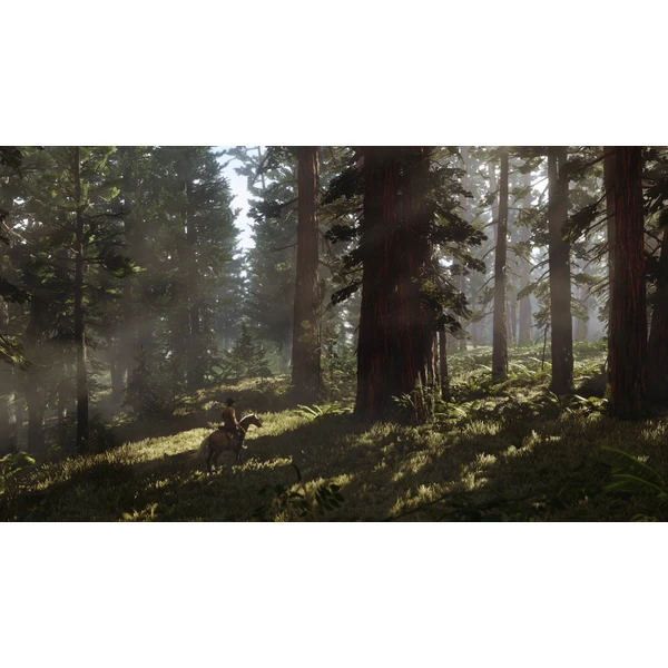 Red Dead Redemption 2 (PS4) - Hry pro PS4 - Obrázek L0HH100201