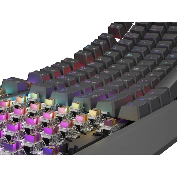 Genesis THOR 230 TKL RGB mechanická klávesnice černá Outemu Brown - Klávesnice - Obrázek L2I5000O01