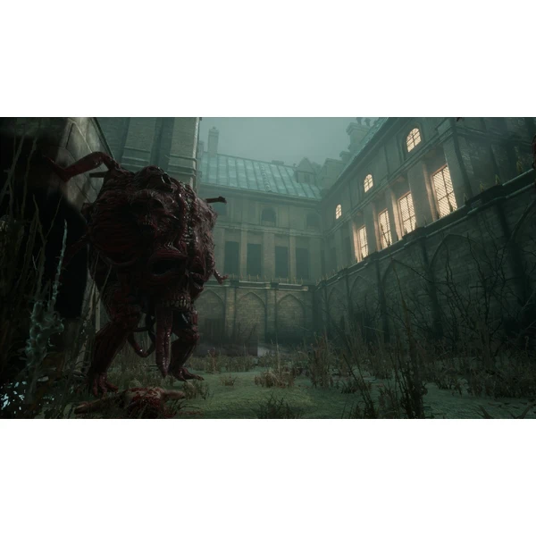 Morbid: The Lords of Ire (PS5) - Hry pro PS5 - Obrázek L3I4000O01