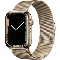 Apple Watch Series 7 Cellular 45mm zlatá ocel se zlatým milánským tahem - Chytré hodinky