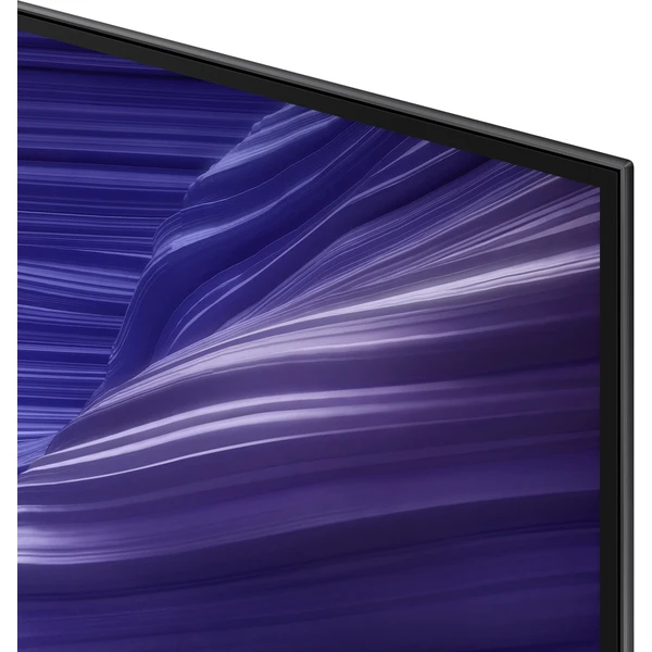 Samsung OLED smart TV QE48S90F 48" - Televize - Obrázek L5BF000J01