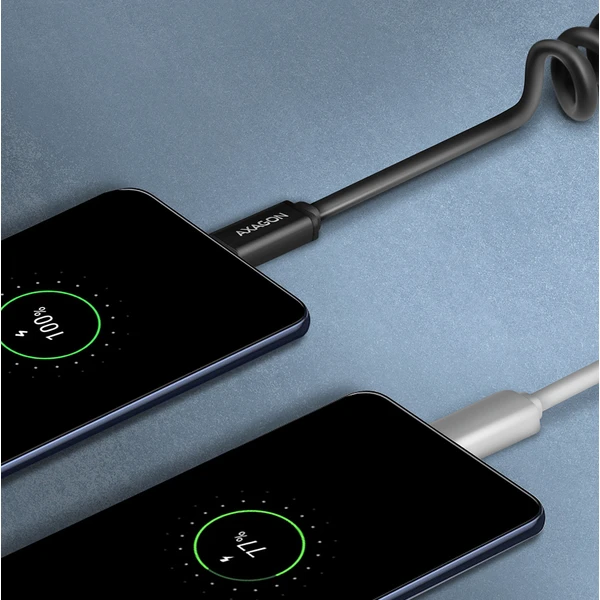 AXAGON TWISTER USB-C/USB-A napájecí kabel 0,6m černý - Kabely a redukce - Obrázek LBD0700301