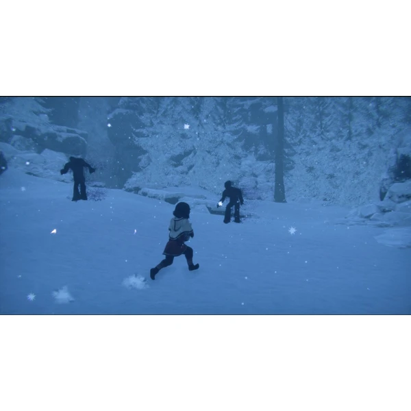 Skábma Snowfall (PS4) - Hry pro PS4 - Obrázek LBF2G00101