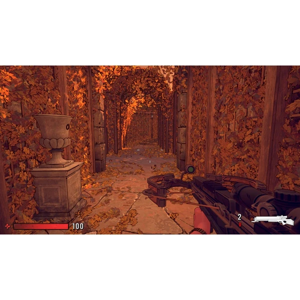 XIII (Switch) - Hry pro Nintendo Switch - Obrázek LF9E100501