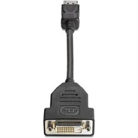HP DisplayPort/DVI-D redukce 0,19m černá - Kabely a redukce