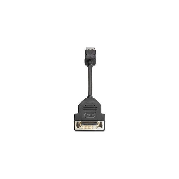 HP DisplayPort To DVI-D Adapter
