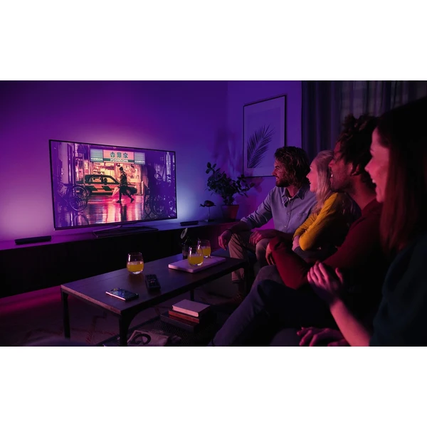 Philips Hue Play Duo Pack White and Color Ambiance + Hue Bridge  - Svítidla - Obrázek LS03000301
