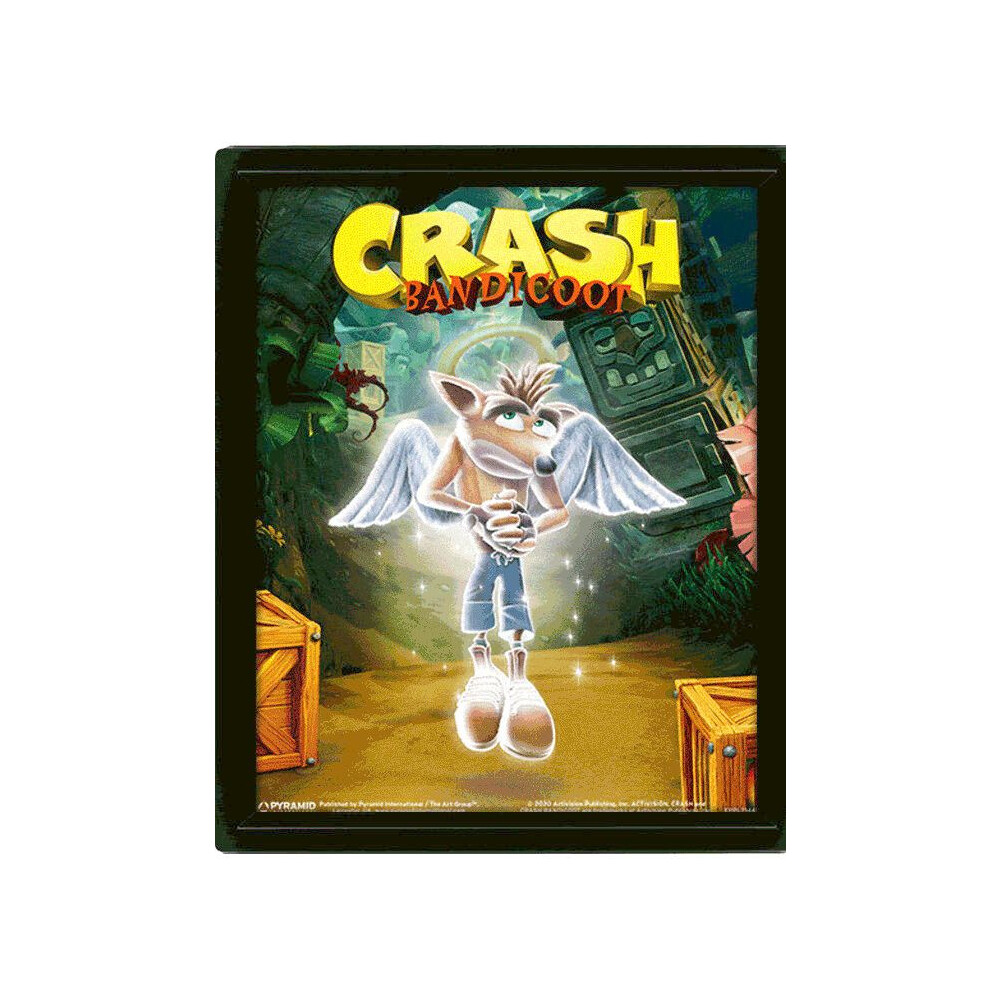 3D Obraz v rámu Crash (Game Over)