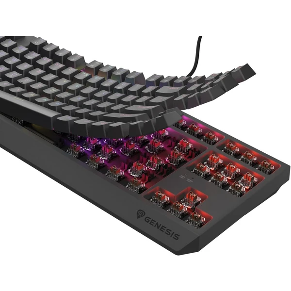 Genesis THOR 230 TKL RGB mechanická klávesnice černá Outemu Brown - Klávesnice - Obrázek M2I5000O01