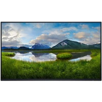 Dell P2425HE monitor 24" bez stojanu - Monitory