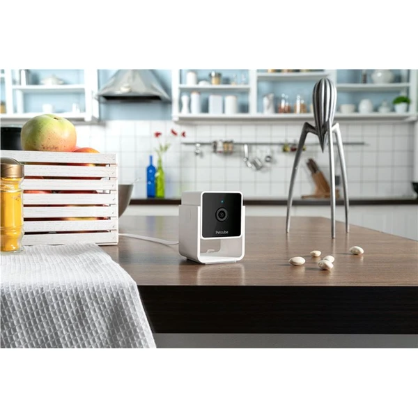 PetCube Cam bezpečnostní kamera - Kamery - Obrázek M5T5000J01