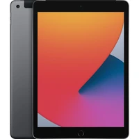 Apple iPad 10,2" 128GB Wi-Fi + Cellular vesmírně šedý (2020) - Tablety