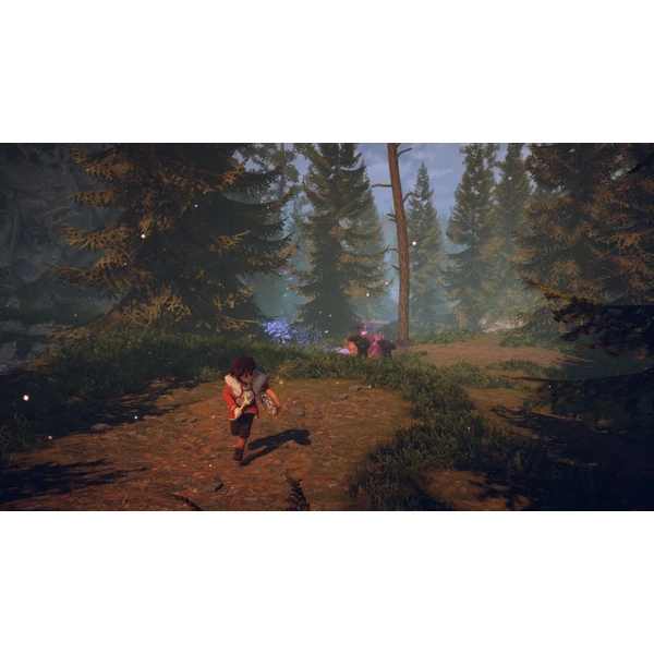 Skábma Snowfall (PS4) - Hry pro PS4 - Obrázek MBF2G00101