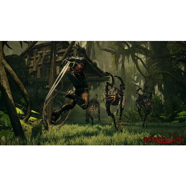 Bound By Flame (PS4) - Hry pro PS4 - Obrázek MG55100201