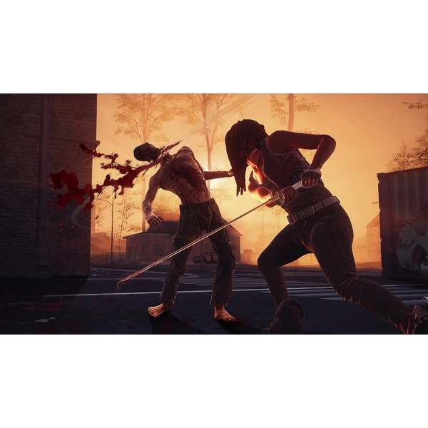 The Walking Dead: Onslaught VR (PS4) - Hry pro PS4 - Obrázek N4H3100201