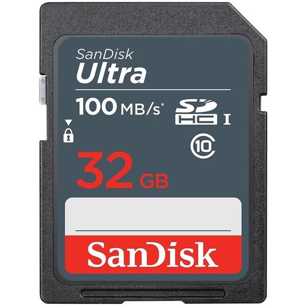 SanDisk SDSDUNR-032G-GN3IN Šedá