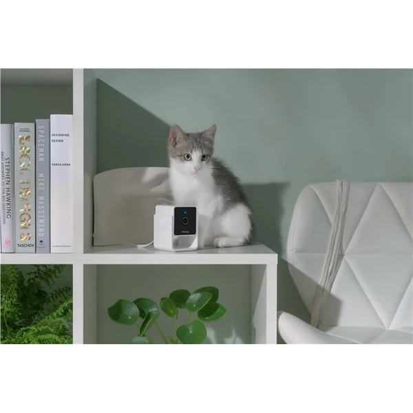 PetCube Cam bezpečnostní kamera - Kamery - Obrázek N5T5000J01