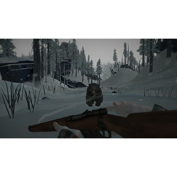 The Long Dark (PS4) - Hry pro PS4 - Obrázek NO95100201