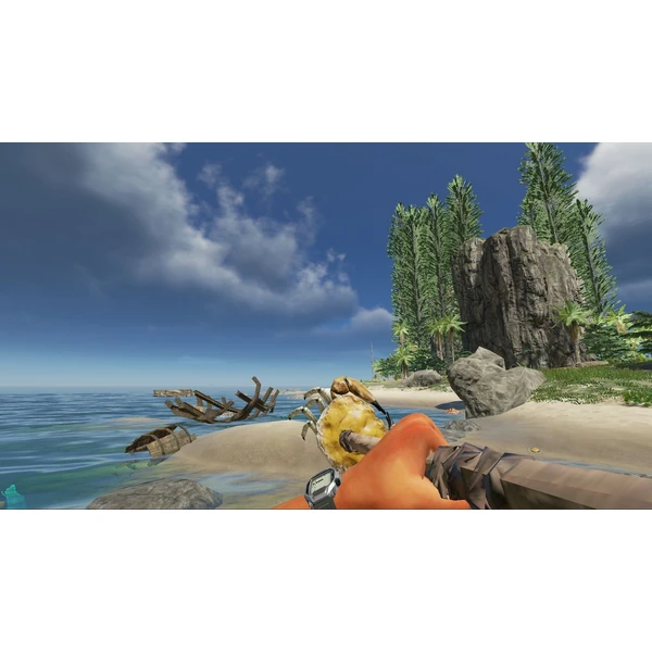 Stranded Deep (Switch) - Hry pro Nintendo Switch - Obrázek NQGW600301