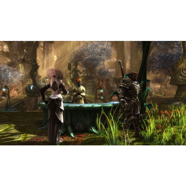 Kingdoms of Amalur Re-Reckoning (Xbox One) - Hry pro Xbox One - Obrázek NXN3100201