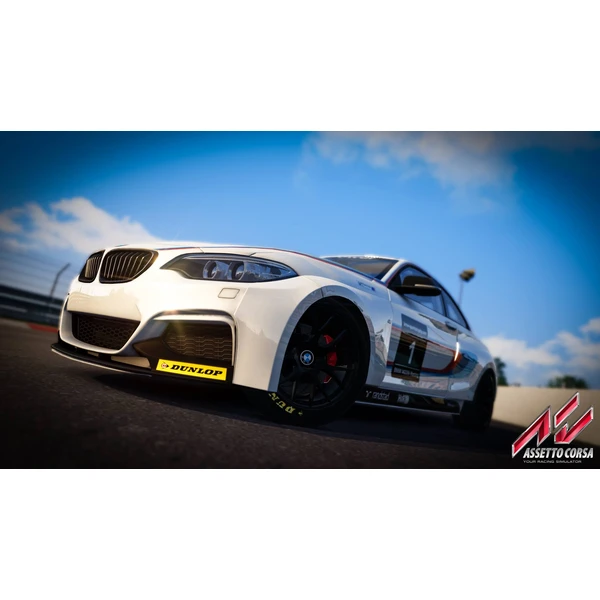 Assetto Corsa (PS4) - Hry pro PS4 - Obrázek NY64100201